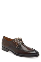 Mezlan Fratello Derby at Nordstrom,