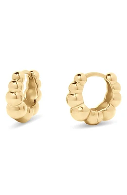 Brook and York Vale Bubble Huggie Hoop Earrings in Gold at Nordstrom