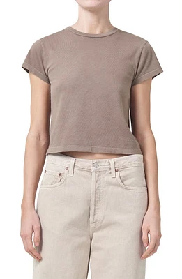 AGOLDE Adine Shrunken Organic Cotton T-Shirt Kiln at Nordstrom,