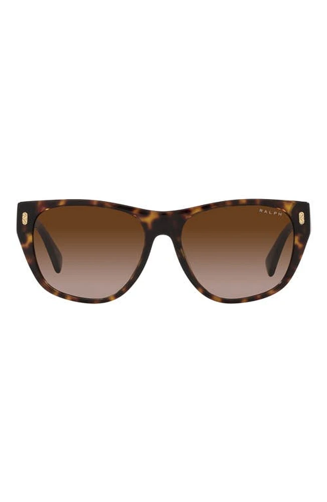 RALPH 55mm Gradient Irregular Sunglasses in Shiny Hava at Nordstrom