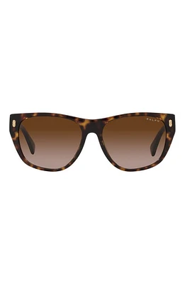 RALPH 55mm Gradient Irregular Sunglasses in Shiny Hava at Nordstrom