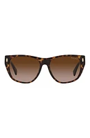 RALPH 55mm Gradient Irregular Sunglasses in Shiny Hava at Nordstrom