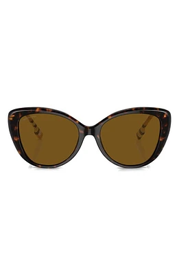 burberry 54mm Polarized Cat Eye Sunglasses in Dark Havana at Nordstrom