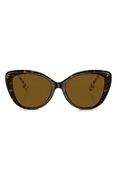 burberry 54mm Polarized Cat Eye Sunglasses in Dark Havana at Nordstrom