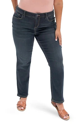 SLINK Jeans Mid Rise Slim Fit Daphne at Nordstrom,