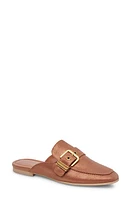 Dolce Vita Santel Buckle Mule Copper Metallic Suede at Nordstrom,