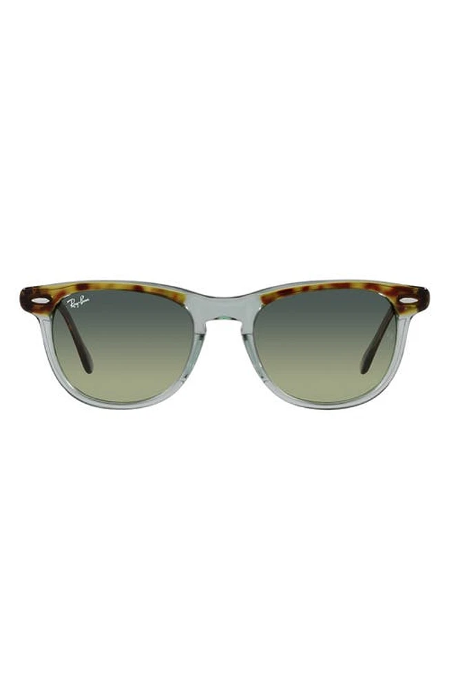 Ray-Ban Eagle Eye 53mm Pillow Sunglasses in Havana at Nordstrom