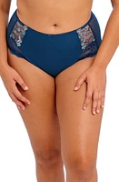 Elomi Charley Full Figure Briefs at Nordstrom,