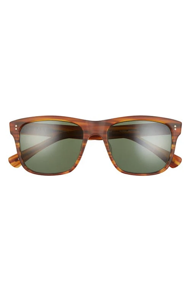 SALT. Elihu 57mm Polarized Sunglasses in Matte Woodgrain/G-15 at Nordstrom