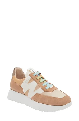 Wonders Odisei Sneaker Trend at Nordstrom,