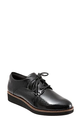 SoftWalk Willis Derby Black Patent Leather at Nordstrom,