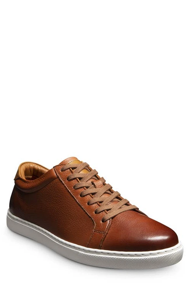 Allen Edmonds Courtside Sneaker Chili at Nordstrom,