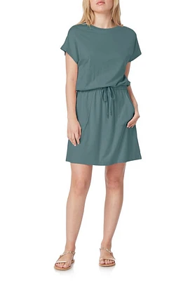 C & California Barbara Dolman Sleeve Pocket Jersey Dress at Nordstrom,