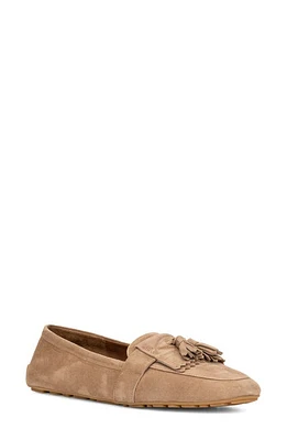 Aquatalia Quinna Kiltie Tassel Flat in Light Taupe at Nordstrom, Size 7.5