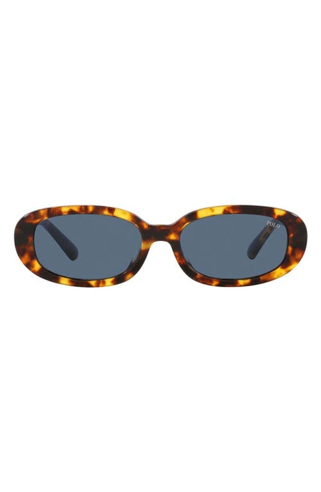 Polo Ralph Lauren 53mm Oval Sunglasses in Shiny Havana at Nordstrom