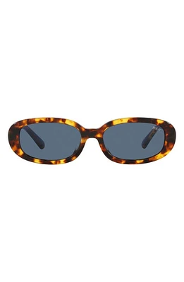 Polo Ralph Lauren 53mm Oval Sunglasses in Shiny Havana at Nordstrom