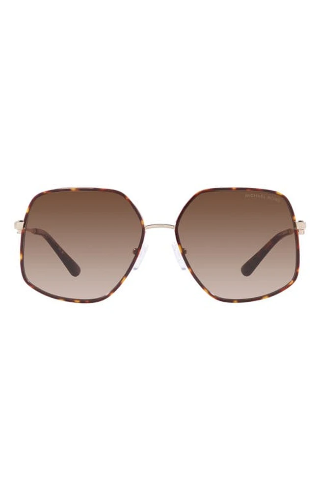 Michael Kors Empire 59mm Gradient Butterfly Sunglasses in Brown Grad at Nordstrom