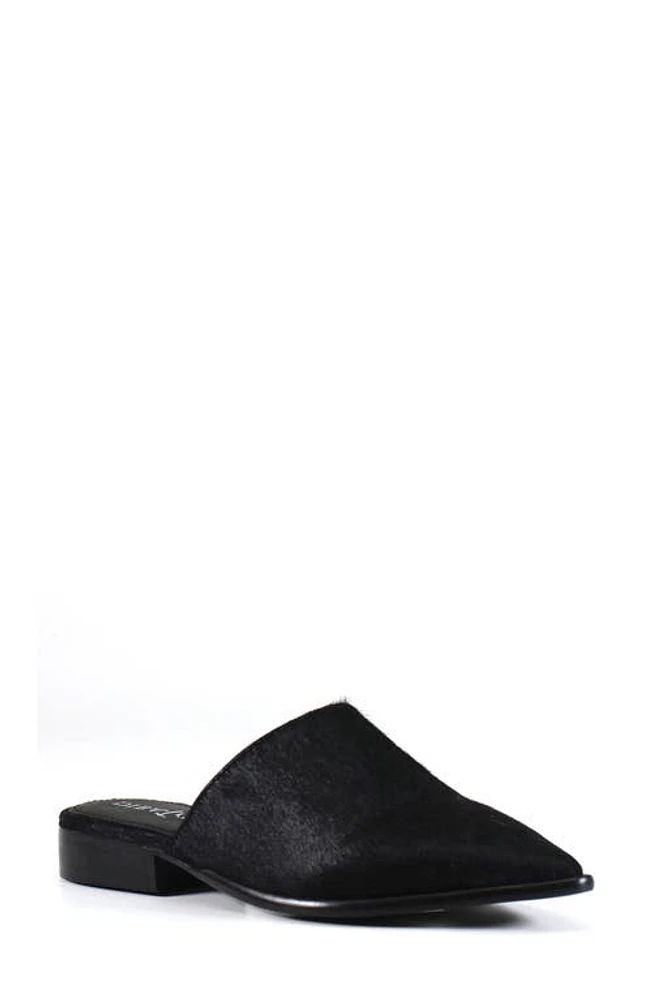 Diba True High Up Calf Hair Mule Black at Nordstrom,