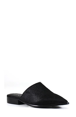 Diba True High Up Calf Hair Mule Black at Nordstrom,