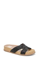 Dolce Vita Selda Raffia Slide Sandal at Nordstrom,