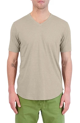 Goodlife Triblend Scallop V-Neck T-Shirt in Timber at Nordstrom, Size Large