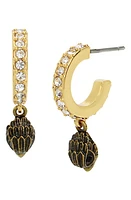 Kurt Geiger London Micro Eagle Head Huggie Drop Earrings in Crystal/Yellow Gold at Nordstrom