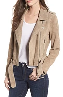 BLANKNYC Suede Moto Jacket Sand at Nordstrom,