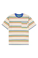 THE NEW Kids' Jamal Stripe Organic Cotton T-Shirt White Swan at Nordstrom,