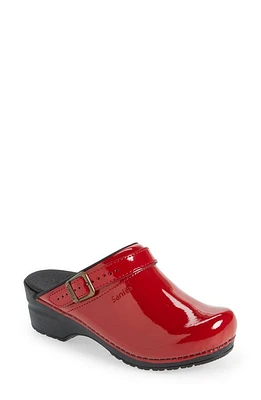 Sanita Estelle Polka Dot Clog at Nordstrom,