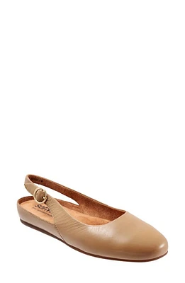 SoftWalk Sandy Slingback Flat Sandal Beige Nappa Leather at Nordstrom,