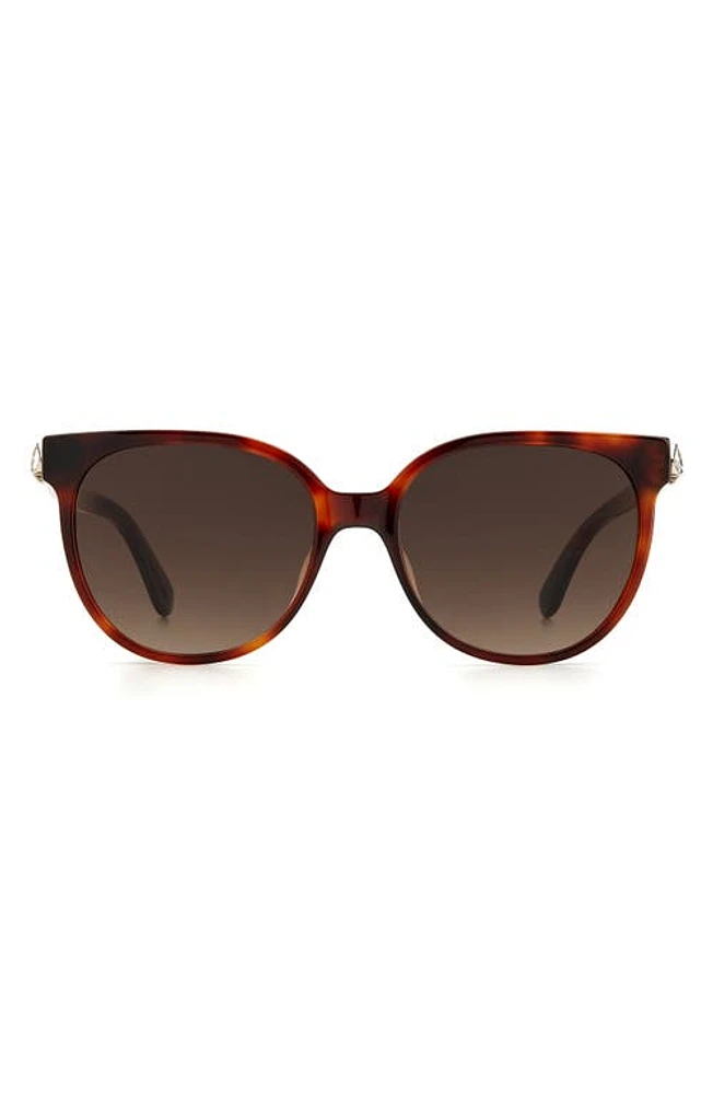 Kate Spade New York Geralyns 53mm Round Sunglasses in Havana /Brown Gradient at Nordstrom