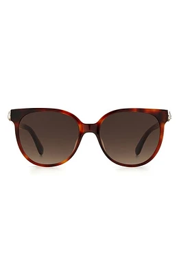 Kate Spade New York Geralyns 53mm Round Sunglasses in Havana /Brown Gradient at Nordstrom