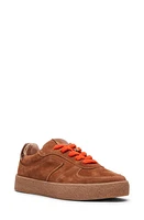 Steve Madden Brayan Sneaker Suede at Nordstrom,