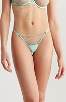 Bluebella Rosetta Embroidered Mesh Thong Mint/sheer at Nordstrom,