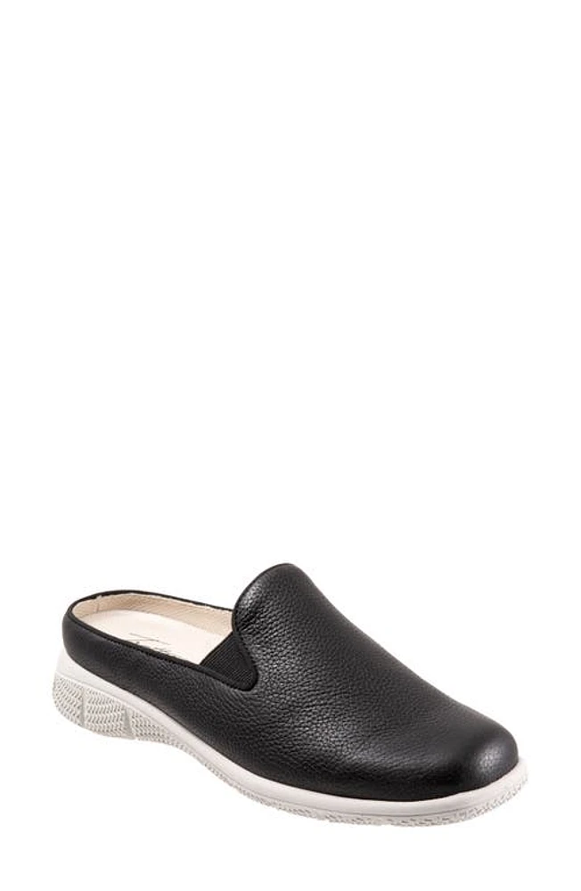 Trotters Uma Mule Black at Nordstrom,