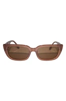 Fifth & Ninth Drew 53mm Polarized Cat Eye Sunglasses in Taupe/Taupe at Nordstrom