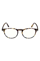 TOM FORD 51mm Round Blue Light Blocking Optical Glasses in Coloured Havana at Nordstrom