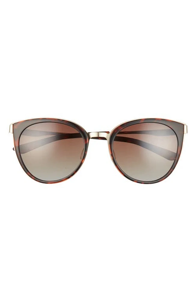 Smith Somerset 53mm Polarized Cat Eye Sunglasses in Tort/Brown Gradient at Nordstrom