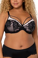 Curvy Couture Tulip Strappy Lace Push-Up Bra Black W/Adobe Rose at Nordstrom,