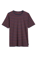 AG Bryce Stripe Crewneck T-Shirt Deep at Nordstrom,