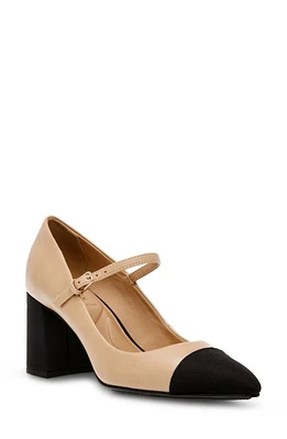 Anne Klein Bryant Pointed Toe Pump Nude/Black at Nordstrom,