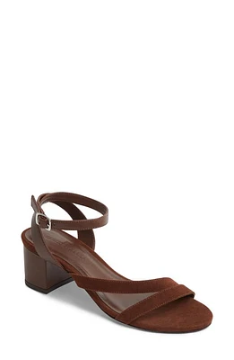 Rebecca Allen The Block Sandy Ankle Strap Sandal Dark Brown at Nordstrom,