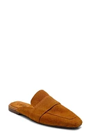 Free People at Ease 2.0 Loafer Mule Nordstrom,