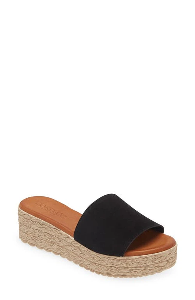 Cordani Bizzy Espadrille Platform Wedge Slide Sandal Suede at Nordstrom,