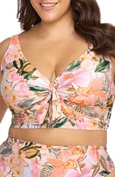 Artesands Titania Cezanne D- & DD-Cup Bikini Top Natural at Nordstrom, Us