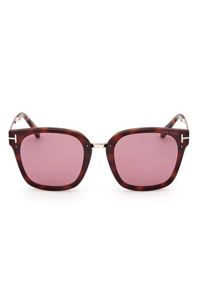 TOM FORD Philippa 68mm Gradient Square Sunglasses in Dark Havana /Violet at Nordstrom