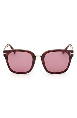 TOM FORD Philippa 68mm Gradient Square Sunglasses in Dark Havana /Violet at Nordstrom