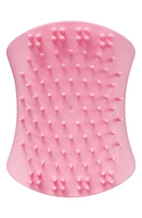 Tangle Teezer The Scalp Exfoliator & Massager Brush in Pink at Nordstrom