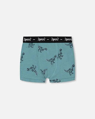 Deux Par Deux Boy's Organic Cotton Boxer Short Teal With Mechanical Dinosaurs Print in Teal With Dinosaurs at Nordstrom