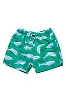 Snapper Rock Kids' Reef Shark Swim Trunks Green at Nordstrom,